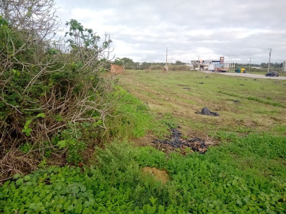 Helårsgrund i Santo Onofre e Serra do Bouro, Leiria - foto 5