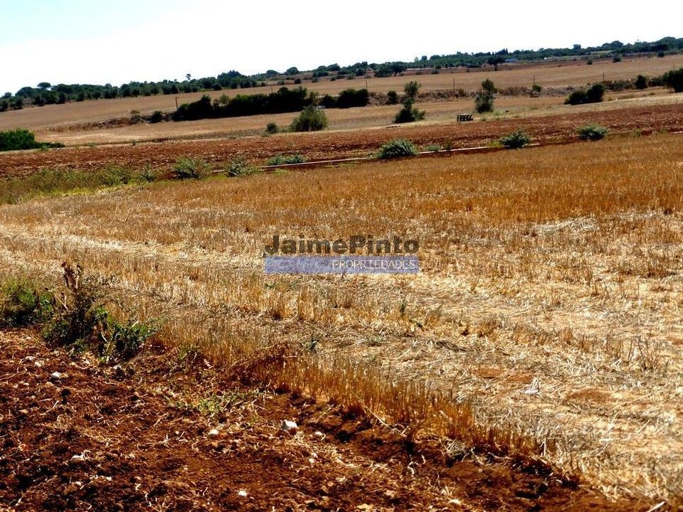 Gård i Figueira de Castelo Rodrigo, Guarda - bilde 1