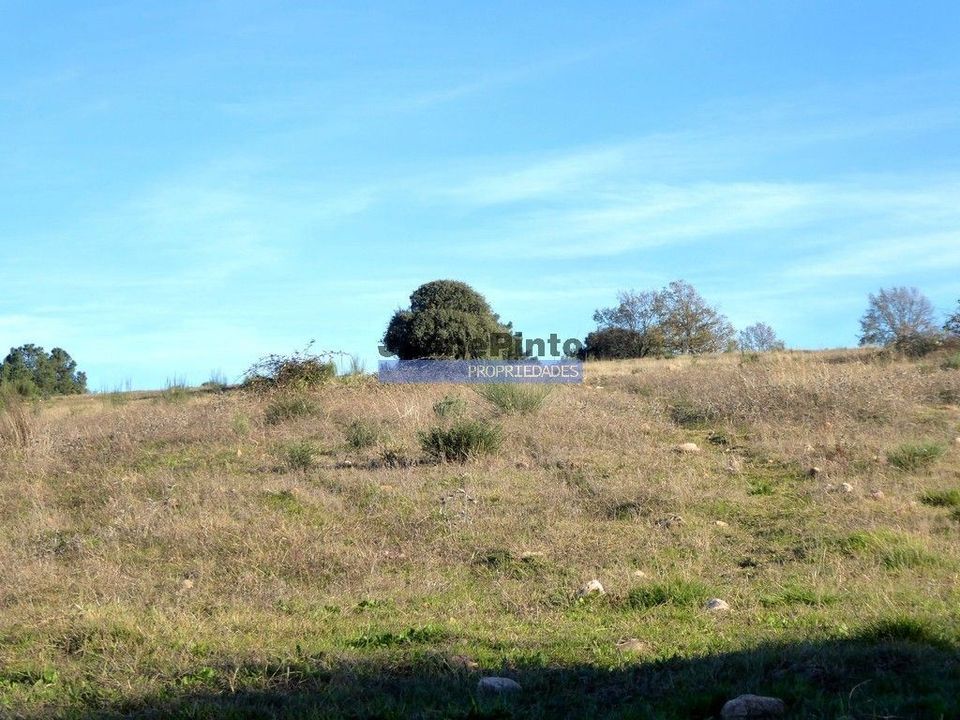Helårsgrund i Figueira de Castelo Rodrigo, Guarda - foto 3
