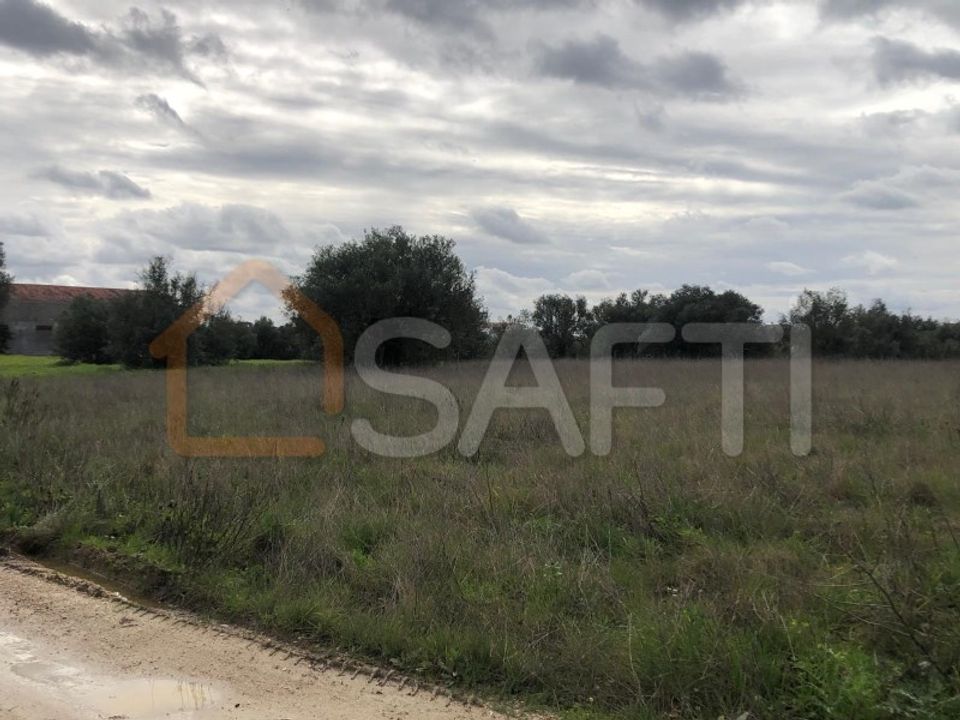 Tomt i Alcanena, Santarem - bilde 1