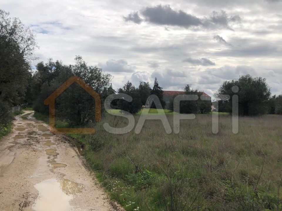 Tomt i Alcanena, Santarem - bilde 2