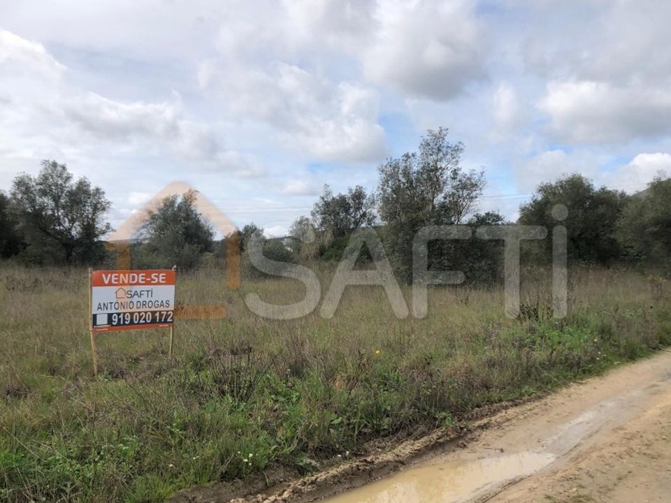 Tomt i Alcanena, Santarem - bilde 4