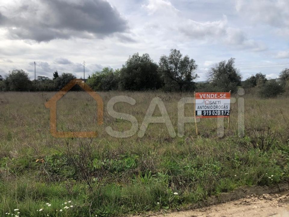 Tomt i Alcanena, Santarem - bilde 5