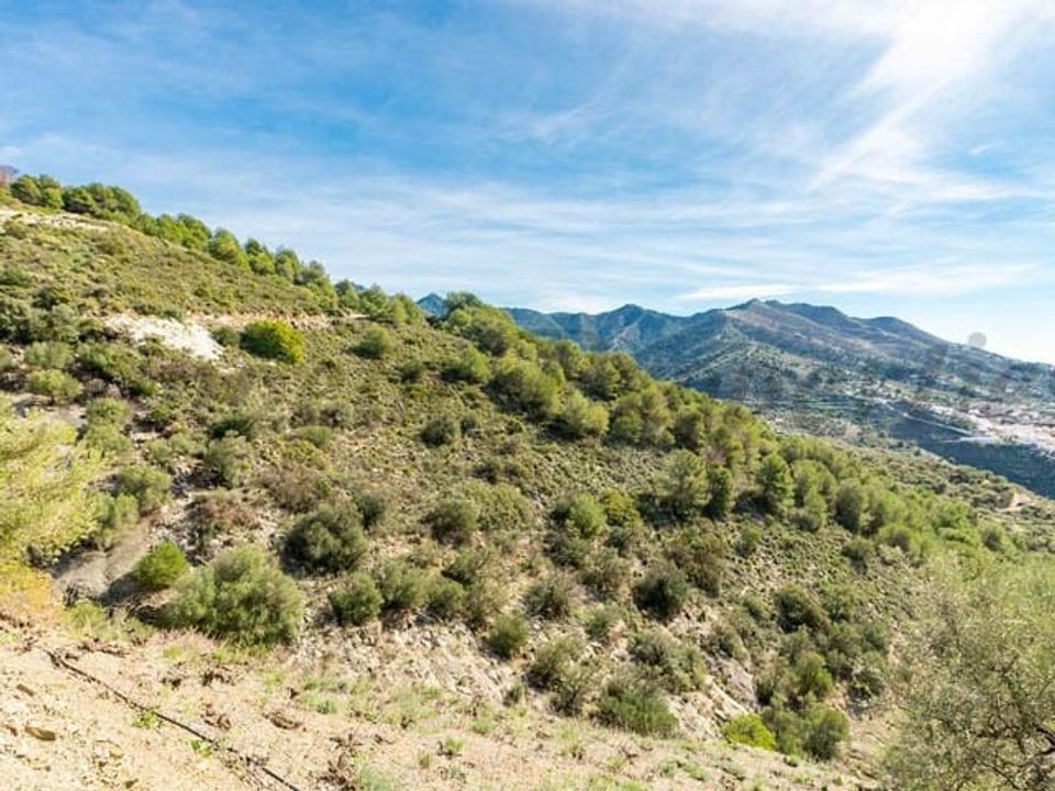 Helårsgrund i Canillas De Albaida, Malaga - foto 4