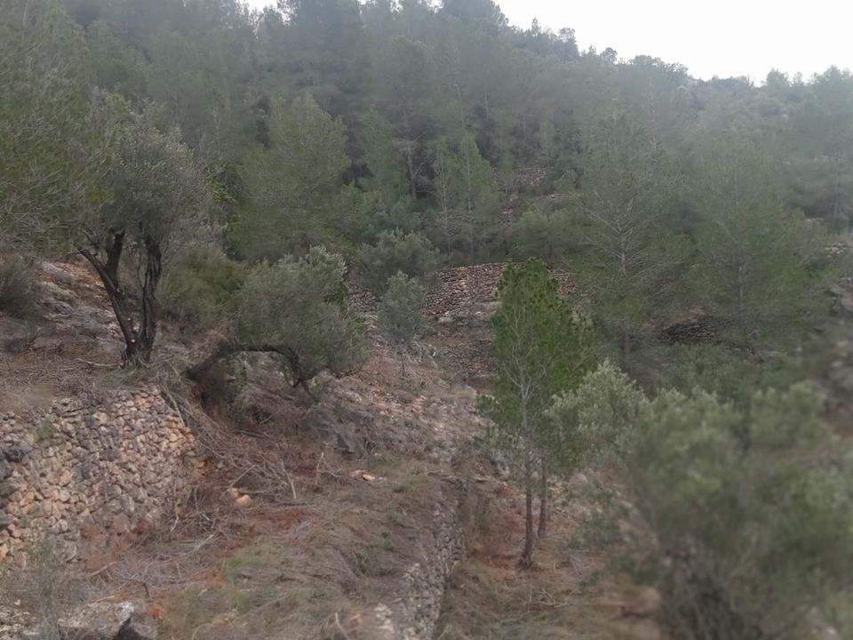 Finca i Benifallet, Tarragona - foto 5