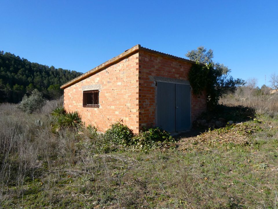 Finca i Caseres, Tarragona - foto 4