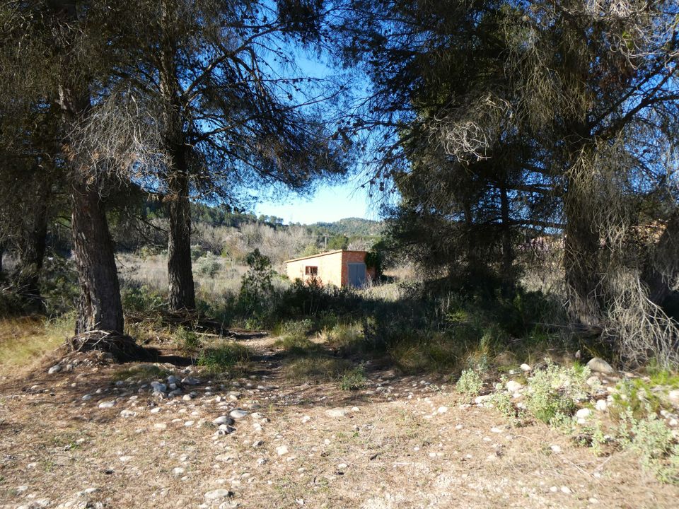 Finca i Caseres, Tarragona - foto 3