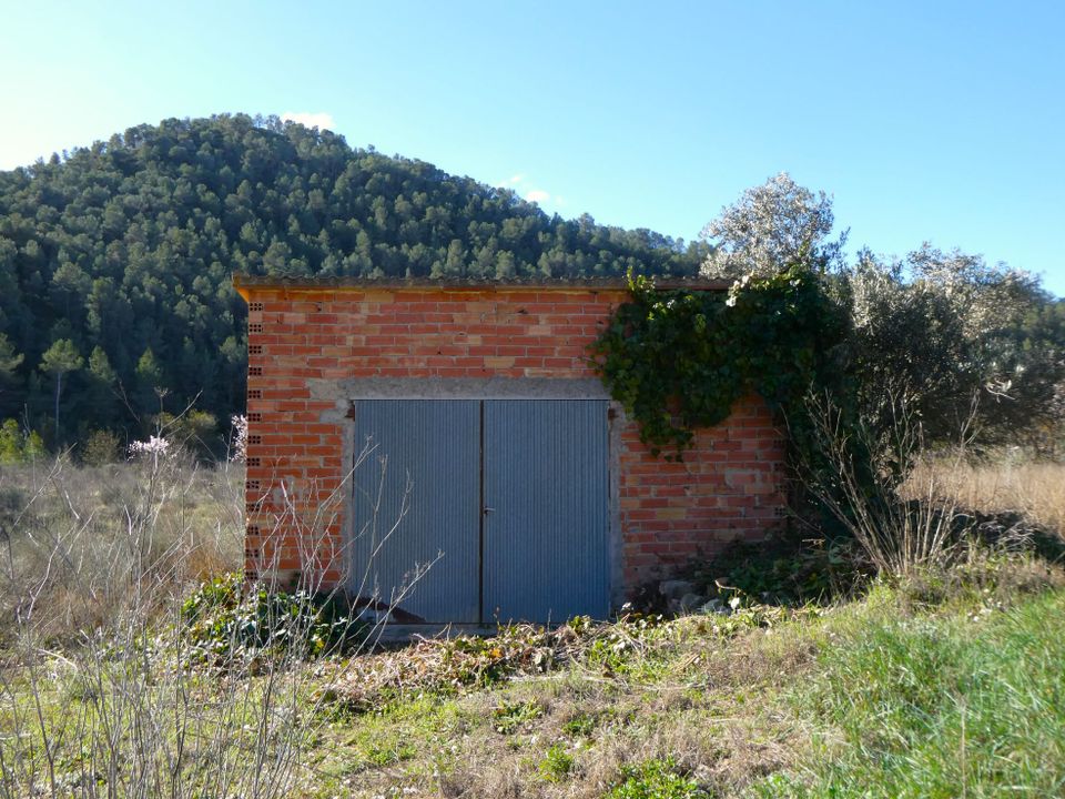 Finca i Caseres, Tarragona - foto 1