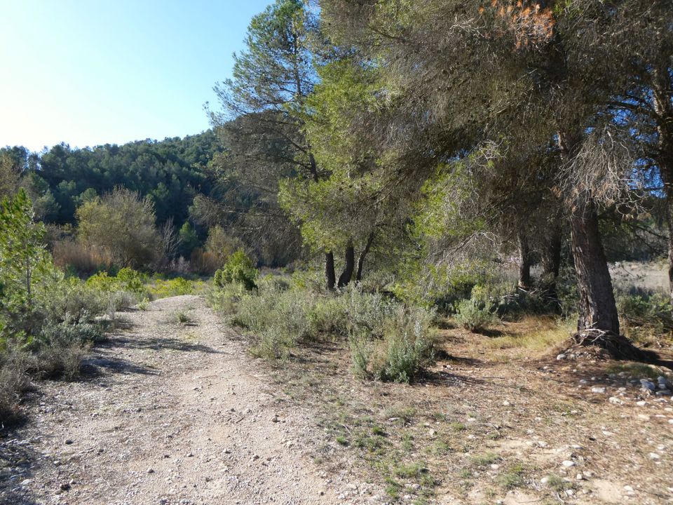 Finca i Caseres, Tarragona - foto 2