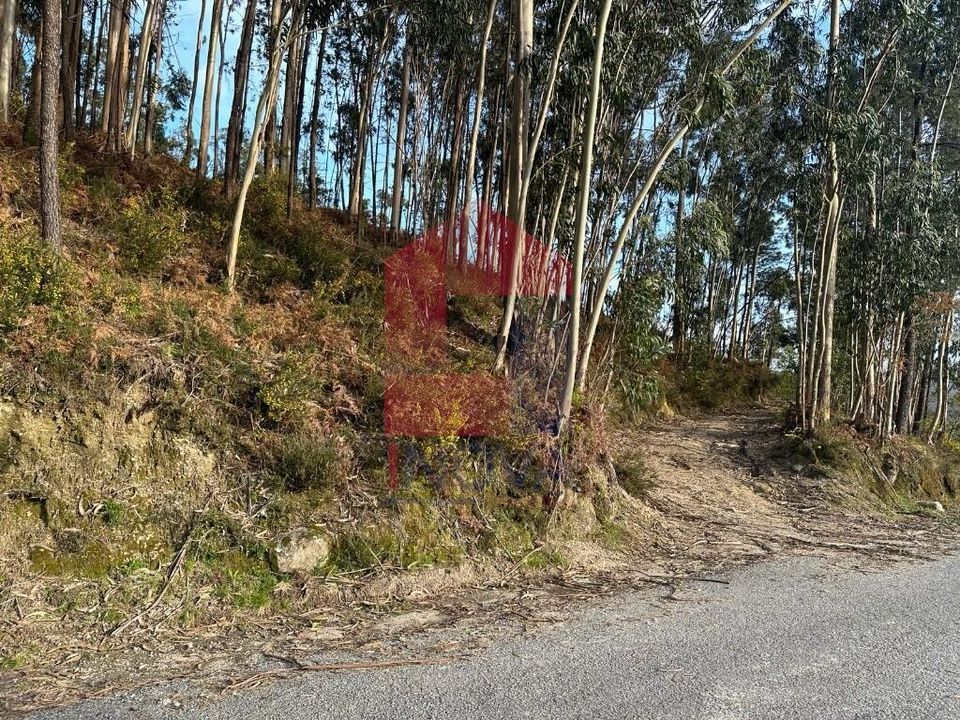 Helårsgrund i Vila Verde, Braga - foto 1