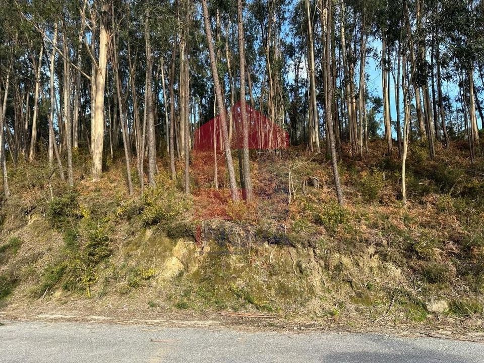 Helårsgrund i Vila Verde, Braga - foto 4