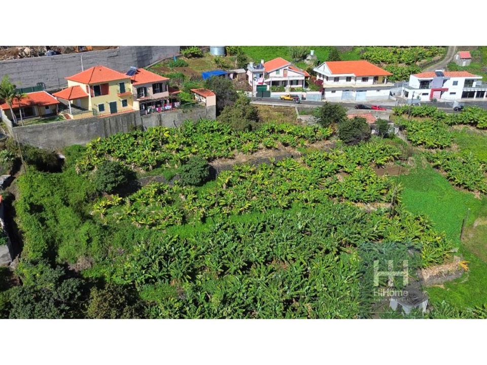 Helårsgrund i Ribeira Brava, Madeira - foto 3