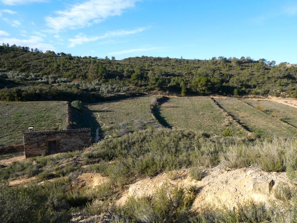 Finca i Fabara, Zaragoza - foto 5
