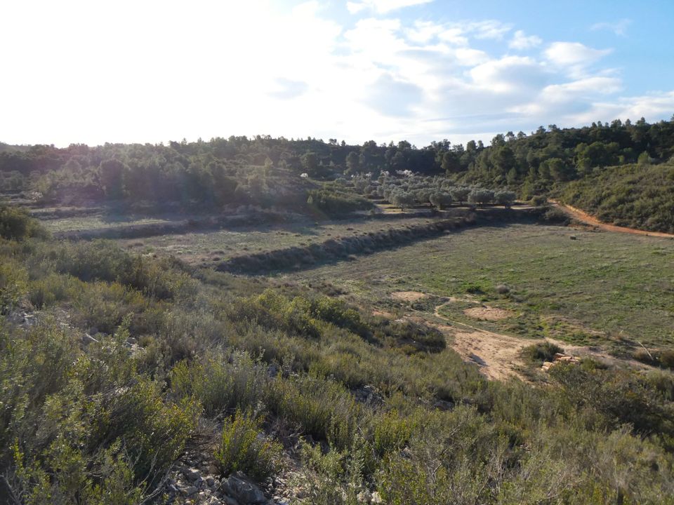 Finca i Fabara, Zaragoza - foto 2
