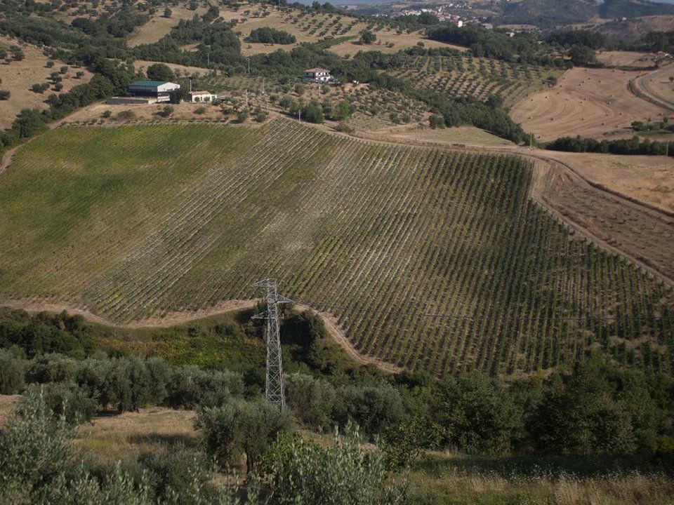 Helårsgrund i Montalto Uffugo, Cosenza - foto 1