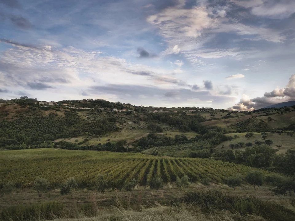 Helårsgrund i Montalto Uffugo, Cosenza - foto 4