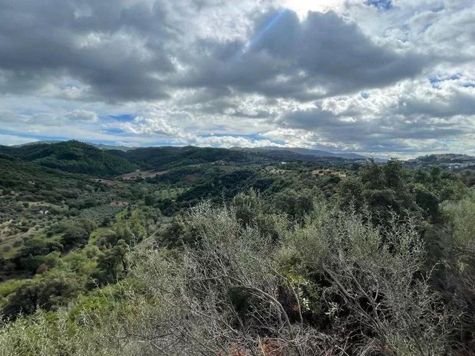 Helårsgrund i Bisignano, Cosenza - foto 3