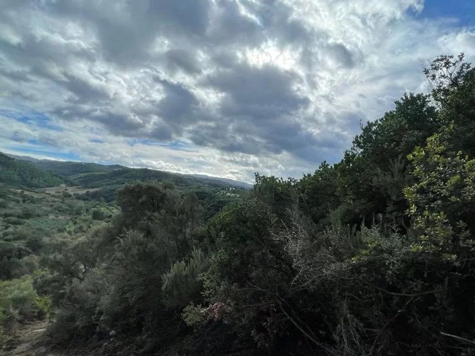 Helårsgrund i Bisignano, Cosenza - foto 4