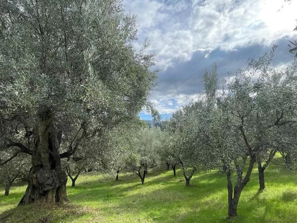 Helårsgrund i Bisignano, Cosenza - foto 2