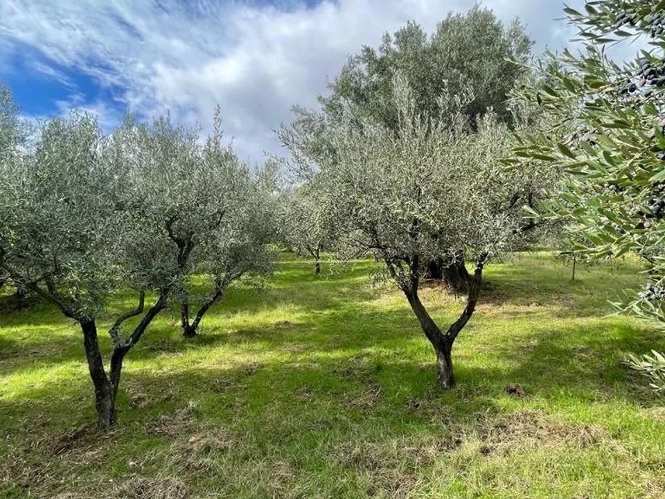 Helårsgrund i Bisignano, Cosenza - foto 3