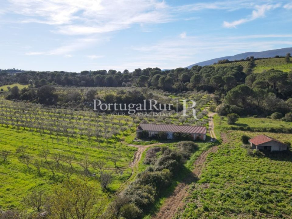 Farm i Torres Novas, Santarem - foto 4