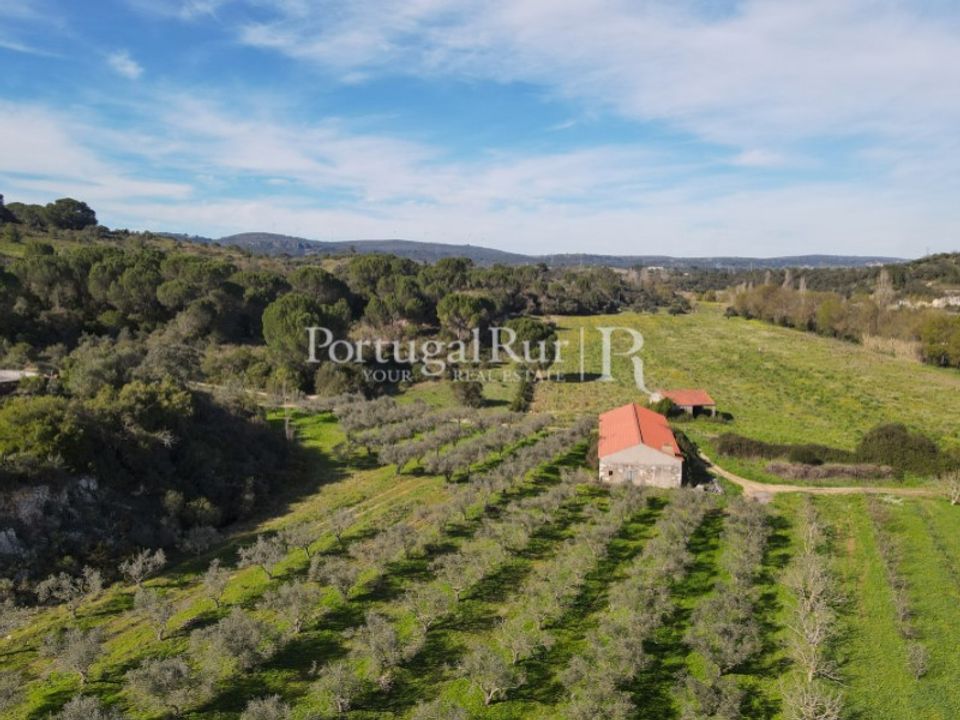 Farm i Torres Novas, Santarem - foto 2