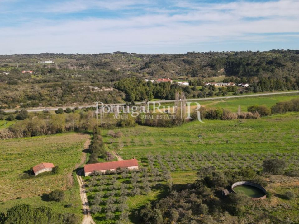 Farm i Torres Novas, Santarem - foto 1