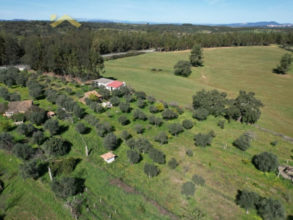 Farm i Idanha-a-Nova, Castelo Branco - foto 1