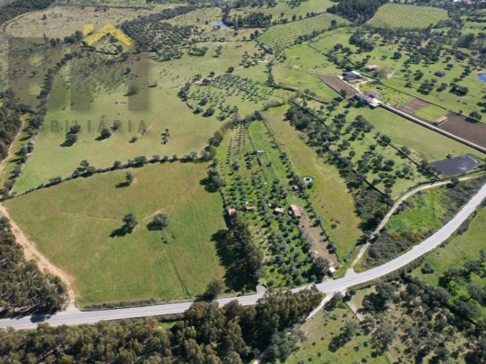 Farm i Idanha-a-Nova, Castelo Branco - foto 2