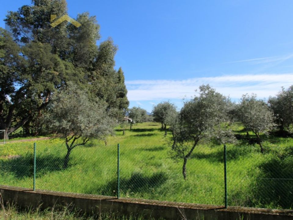 Farm i Idanha-a-Nova, Castelo Branco - foto 4
