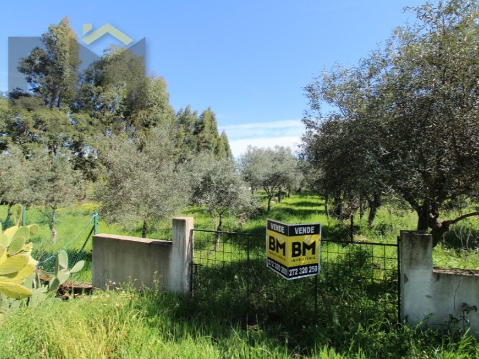 Farm i Idanha-a-Nova, Castelo Branco - foto 5