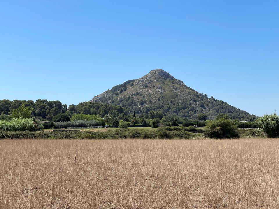 Helårsgrund i Alcudia, Mallorca - foto 1