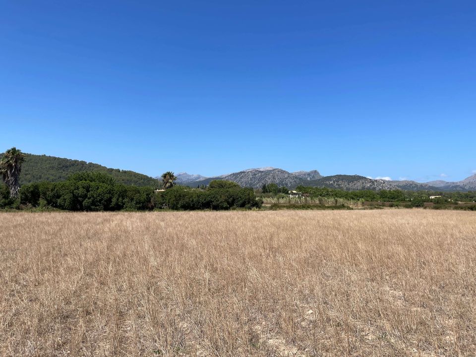 Helårsgrund i Alcudia, Mallorca - foto 2