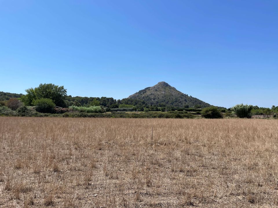 Helårsgrund i Alcudia, Mallorca - foto 3