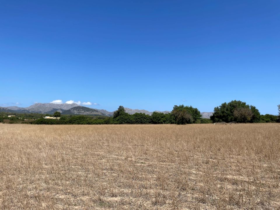 Helårsgrund i Alcudia, Mallorca - foto 4