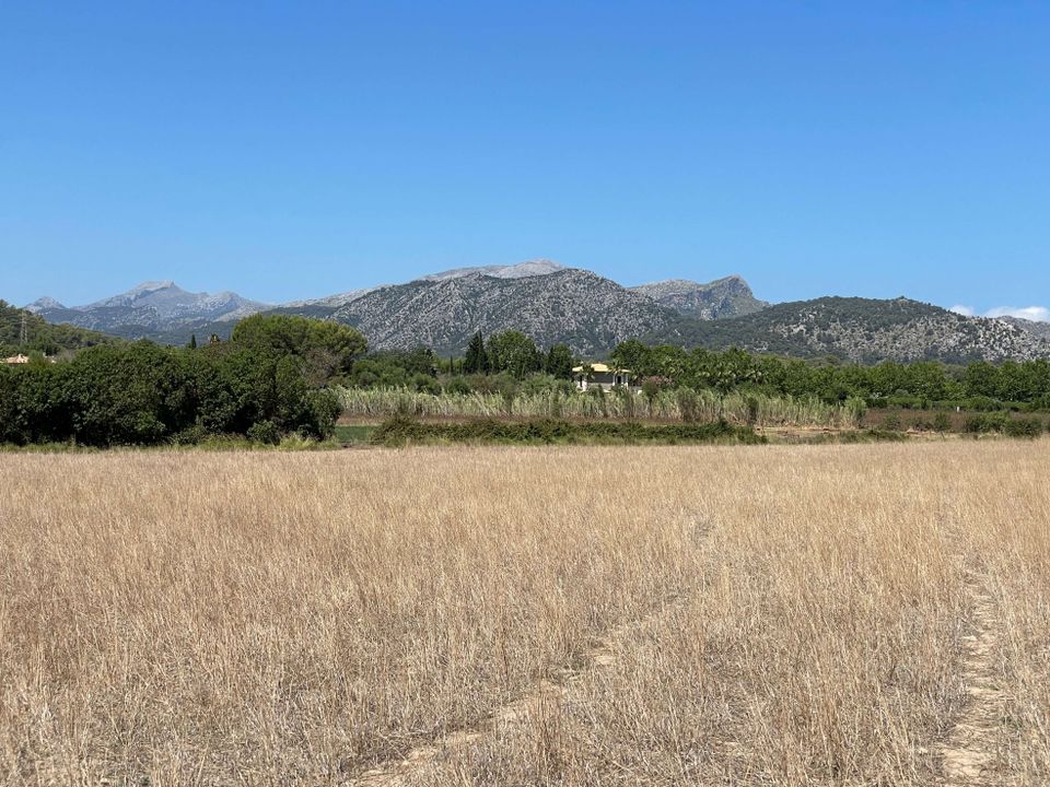 Helårsgrund i Alcudia, Mallorca - foto 5