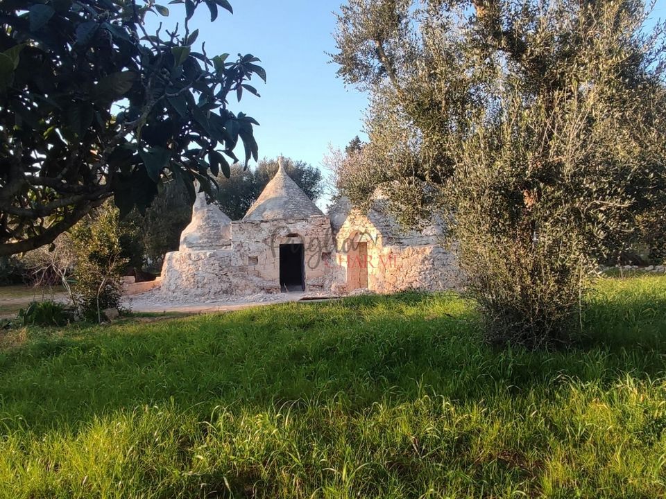 Landejendom i Ostuni, Brindisi - foto 5