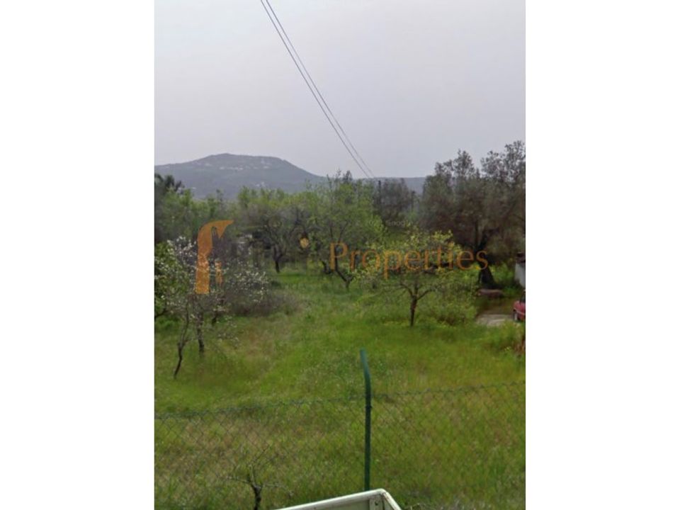 Terreno en Benafim, Faro - foto 4