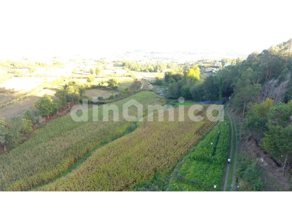 Terra a Joane, Braga - foto 1