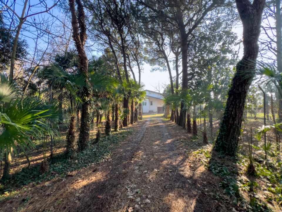 Villa i Correzzola, Padua - foto 3