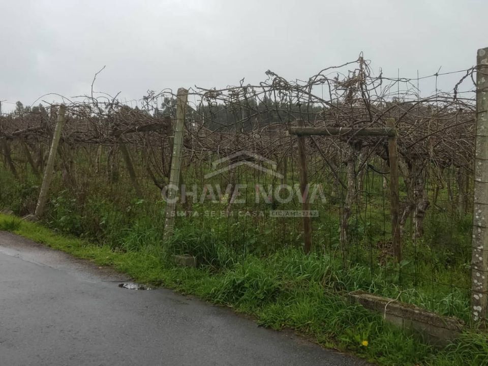 Helårsgrund i Oliveira do Bairro, Aveiro - foto 4