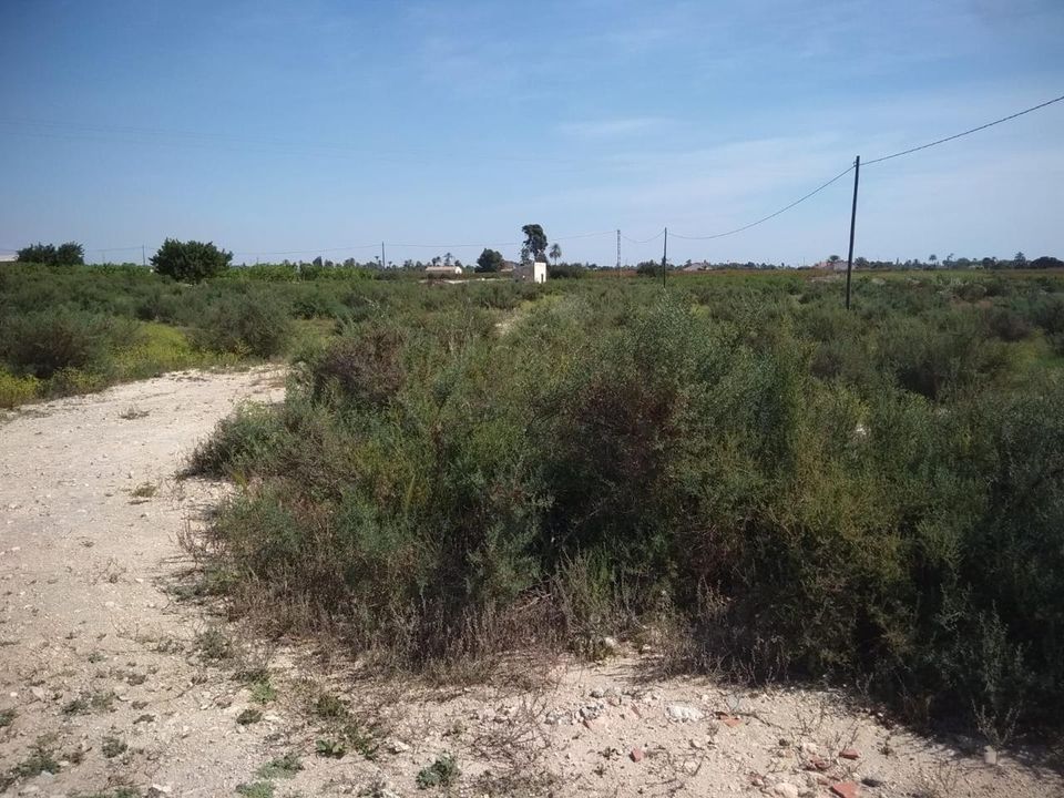 Tomt i Elche, Alicante - bilde 2