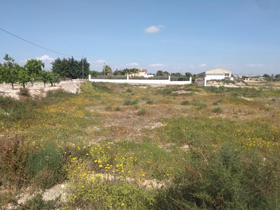 Tomt i Elche, Alicante - bilde 1