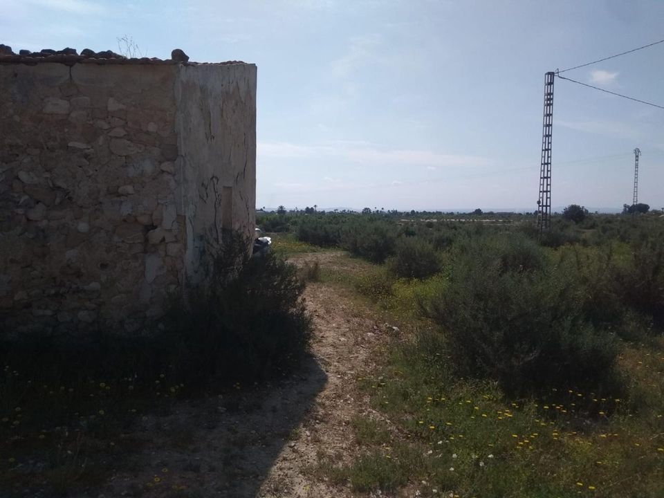 Tomt i Elche, Alicante - bilde 4