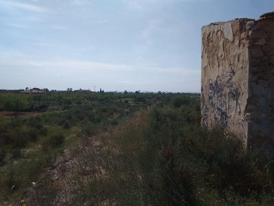 Tomt i Elche, Alicante - bilde 5