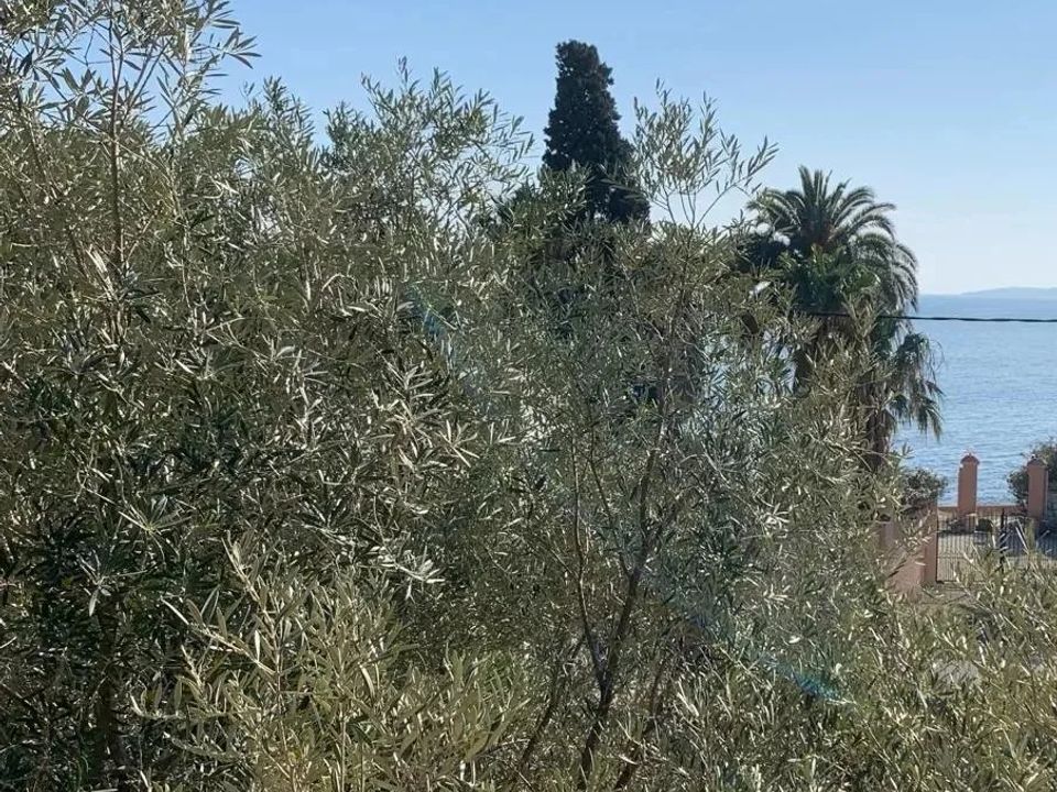 Villa i Les Issambres, Var - foto 3