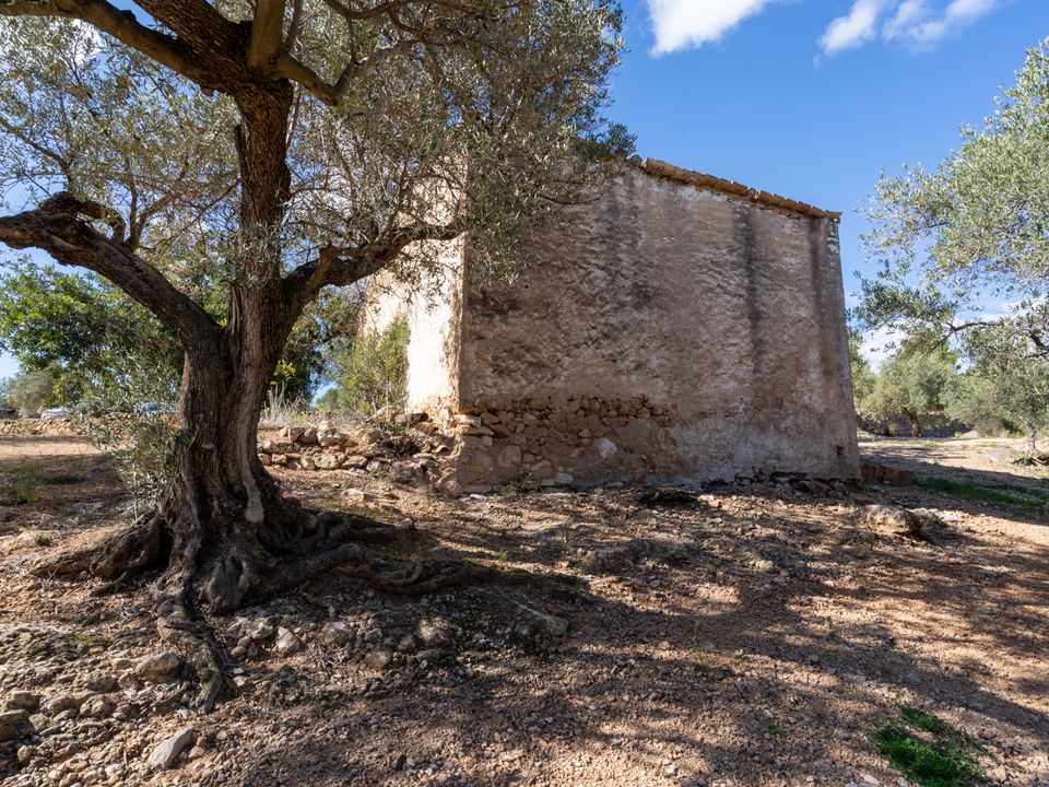 Farm hus i Xerta, Tarragona - foto 3