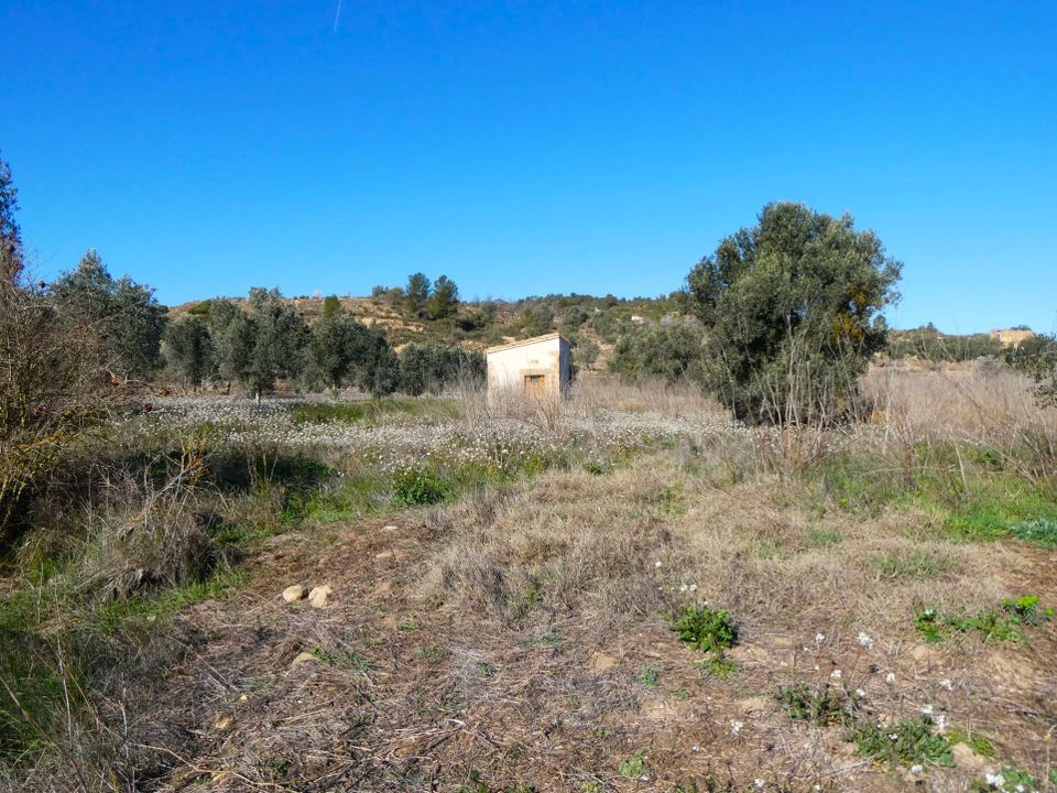 Finca en Calaceite, Teruel - foto 5