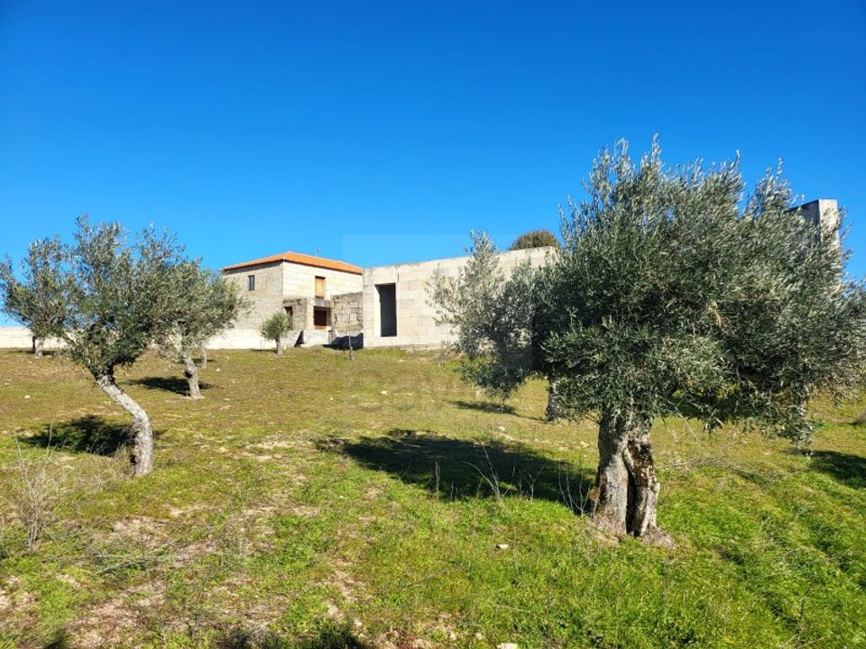 Farm i Possacos, Vila Real - foto 1