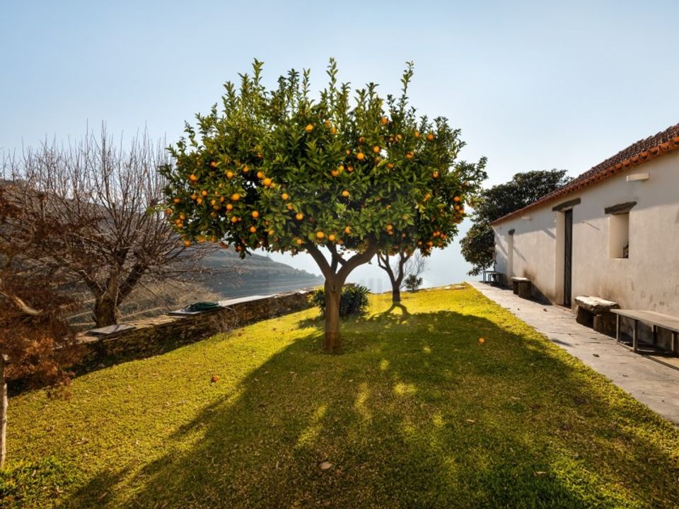 Farm i Ervedosa do Douro, Viseu - foto 2